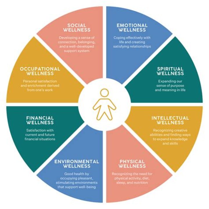 A Journey Of Wellness And Empowerment